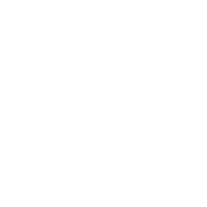 Chevron Houston Marathon Logo